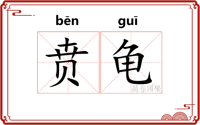 贲龟