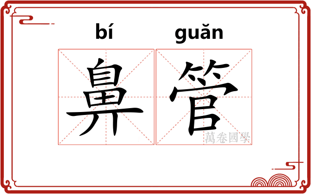 鼻管