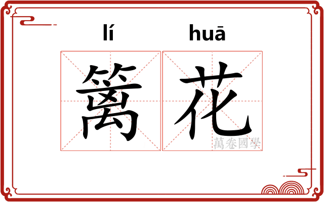 篱花