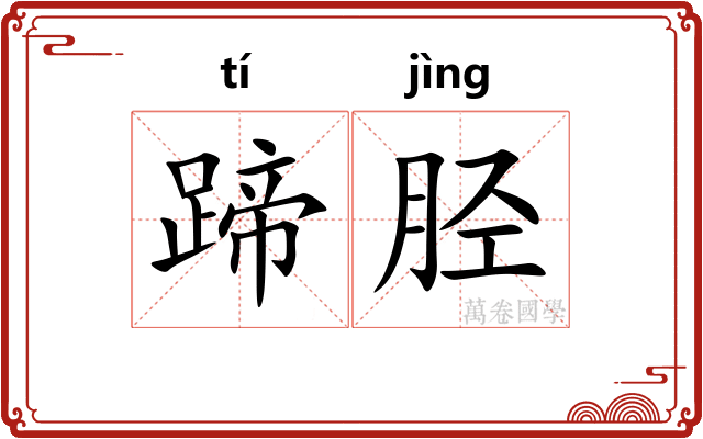 蹄胫
