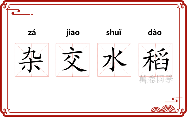 杂交水稻