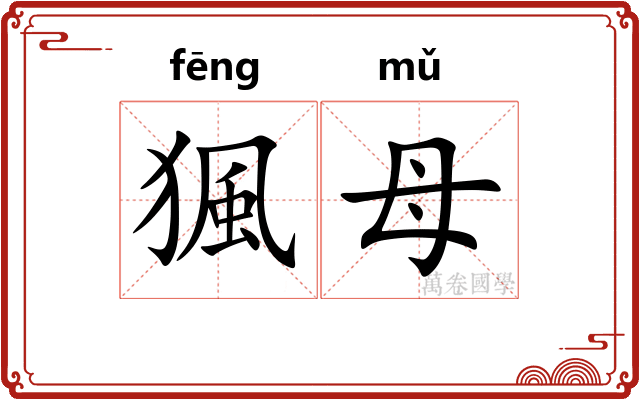 猦母