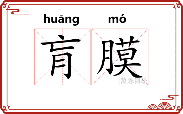 肓膜