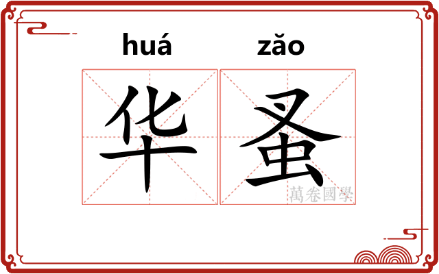 华蚤
