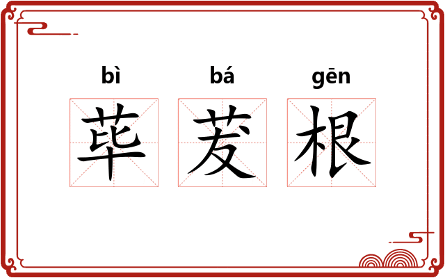 荜茇根