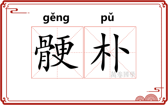 骾朴