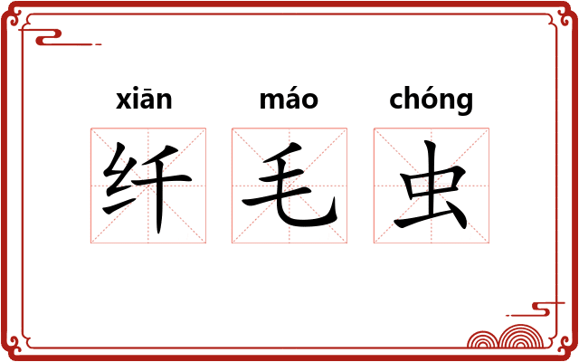 纤毛虫