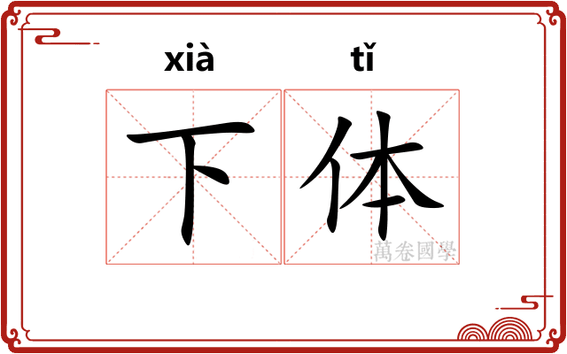 下体
