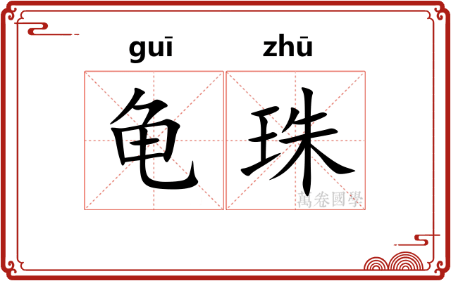 龟珠