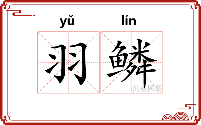 羽鳞