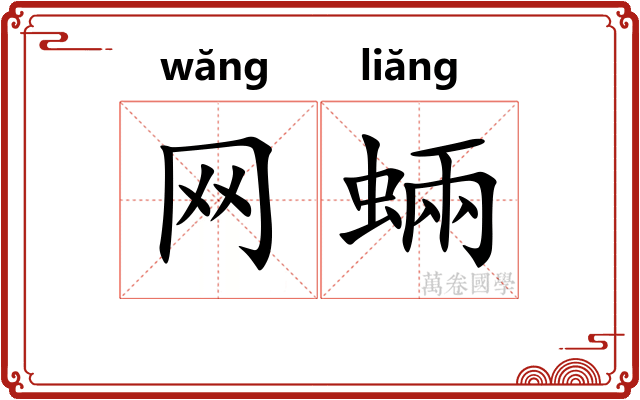 网蜽