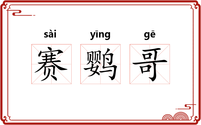 赛鹦哥 赛鹦哥