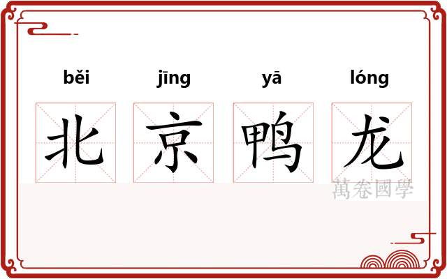 北京鸭龙