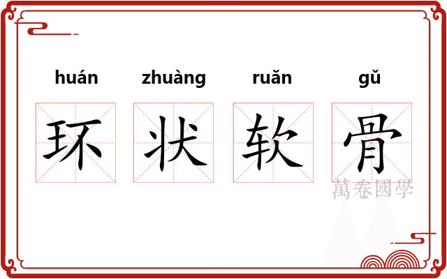 环状软骨