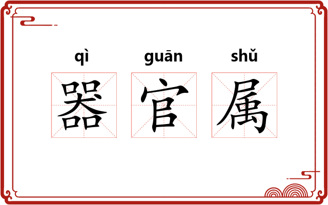 器官属 器官属