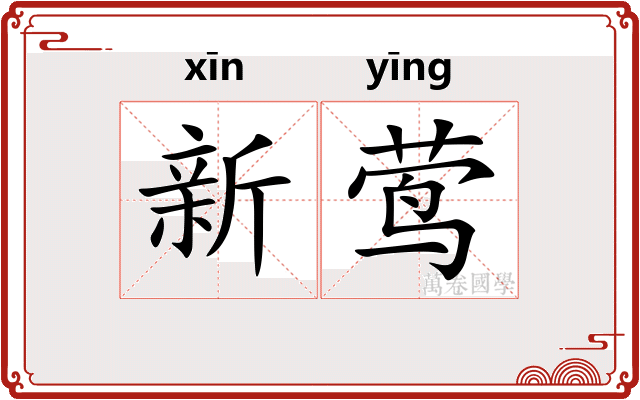 新莺