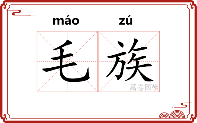 毛族 毛族