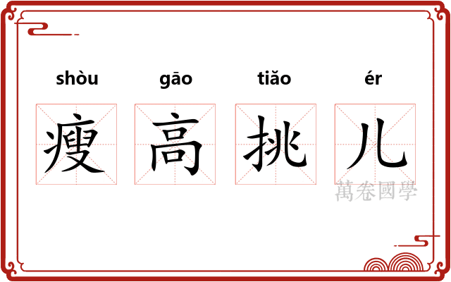 瘦高挑儿