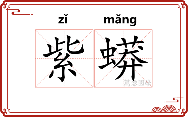 紫蟒