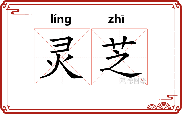 灵芝