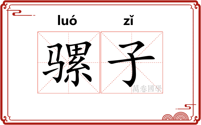 骡子