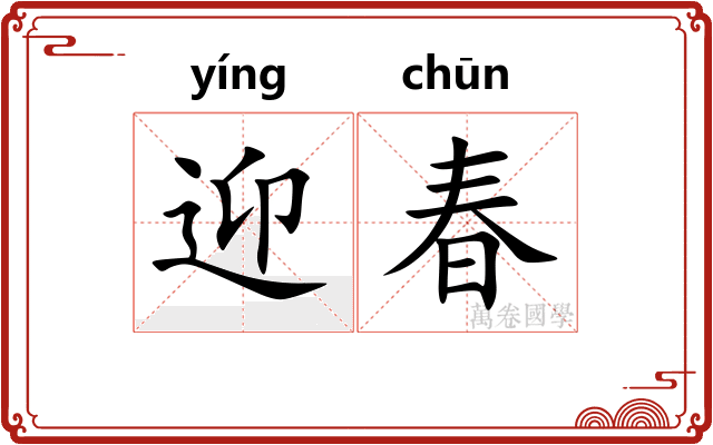 迎春 迎春