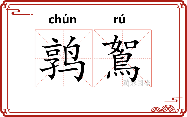 鹑鴽 鹑鴽