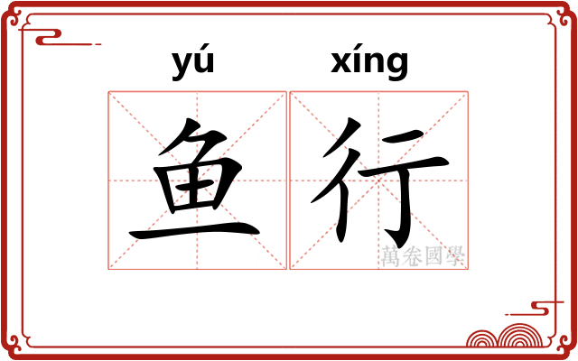 鱼行 鱼行