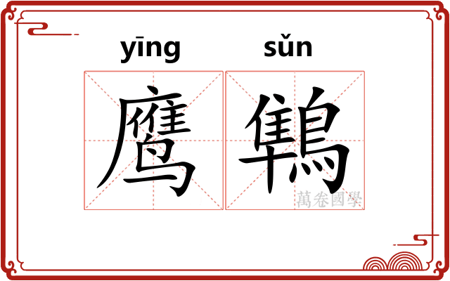 鹰鶽
