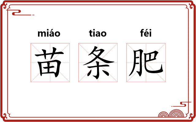 苗条肥