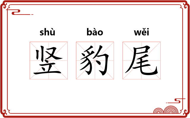 竖豹尾