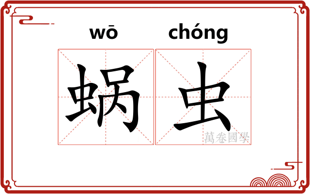 蜗虫