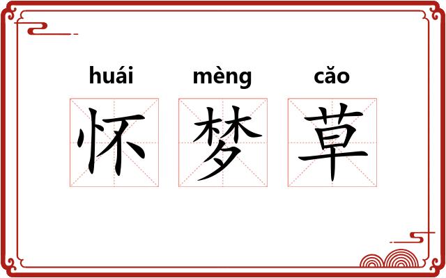 怀梦草