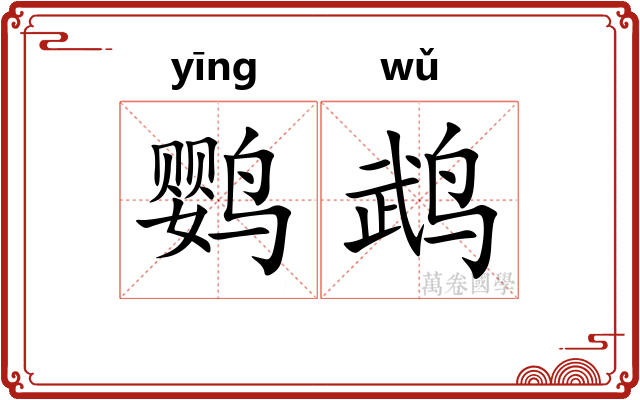 鹦鹉