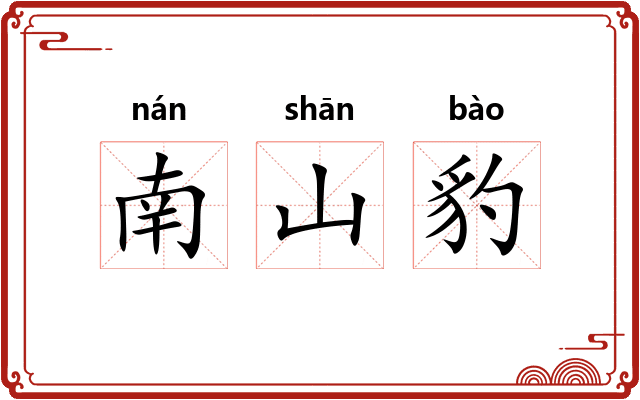 南山豹 南山豹