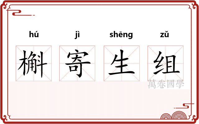 槲寄生组 槲寄生组