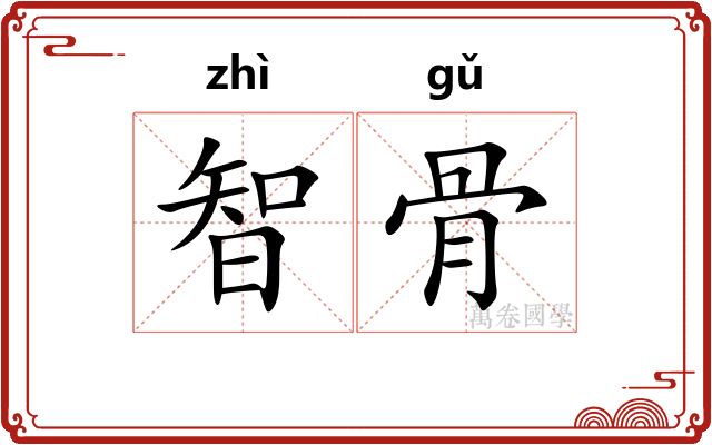 智骨