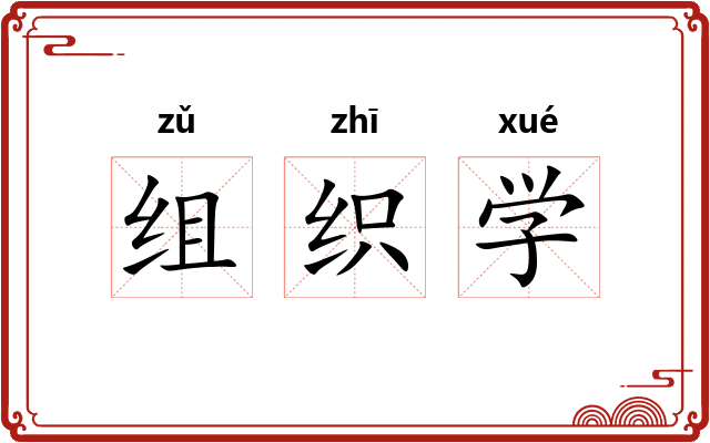 组织学 组织学
