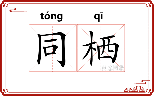 同栖