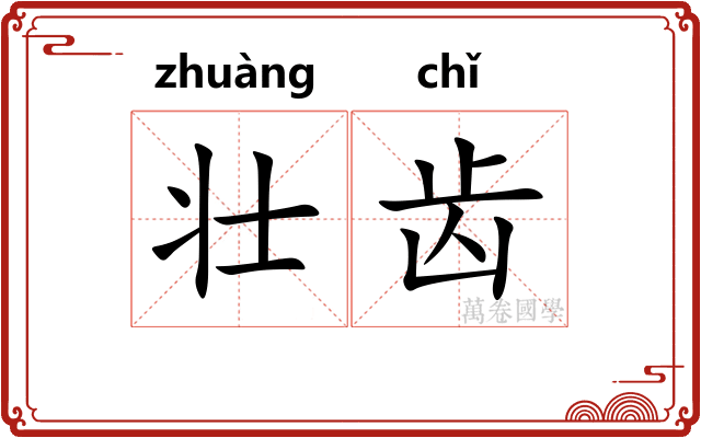 壮齿