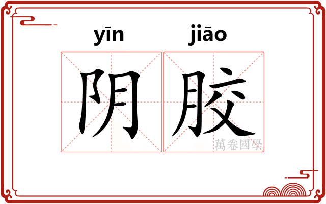 阴胶