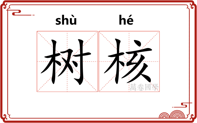 树核 树核