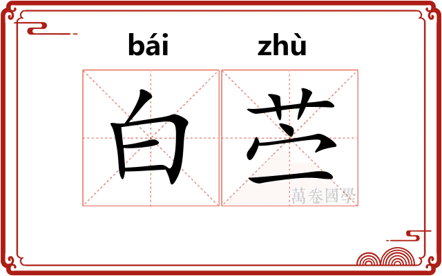 白苎 白苎
