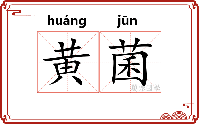 黄菌