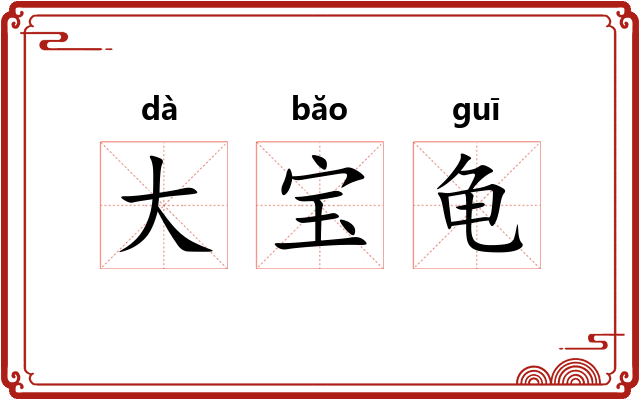 大宝龟