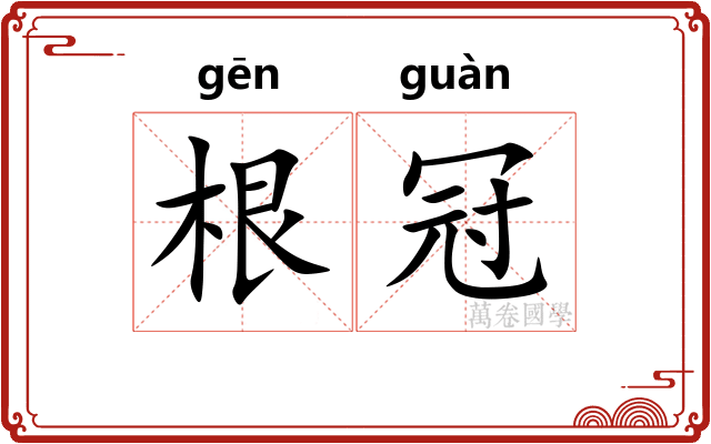 根冠