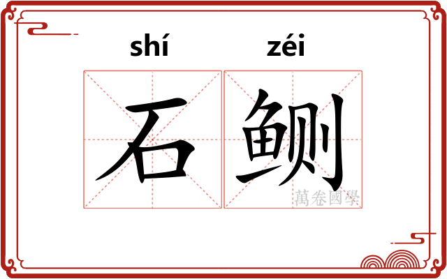石鲗