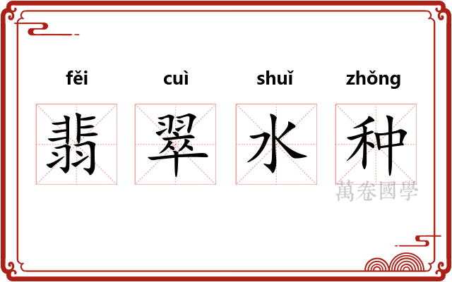翡翠水种 翡翠水种