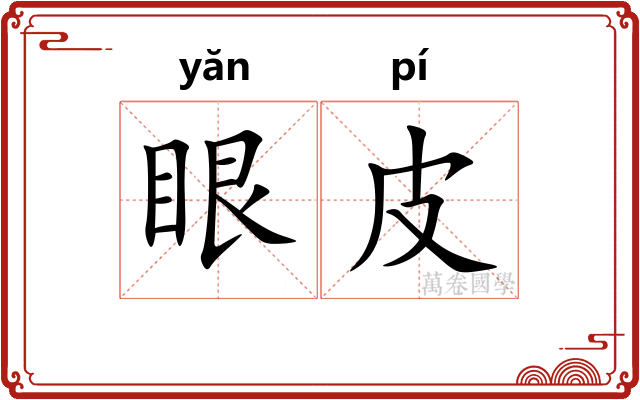 眼皮 眼皮