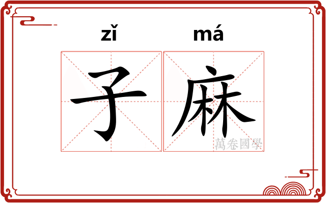 子麻 子麻